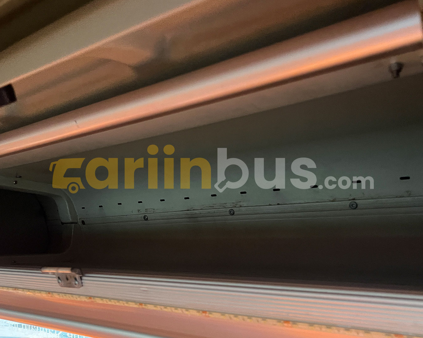 Bus-Arlindo-19