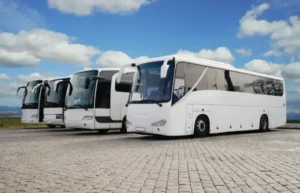 tips memilih bus wisata
