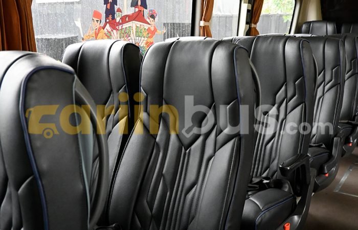 Big-Bus-Mata-Trans-5