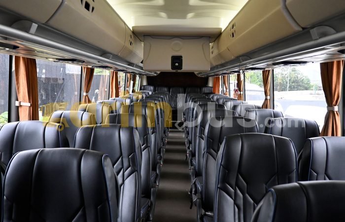 Big-Bus-Mata-Trans-5(1)