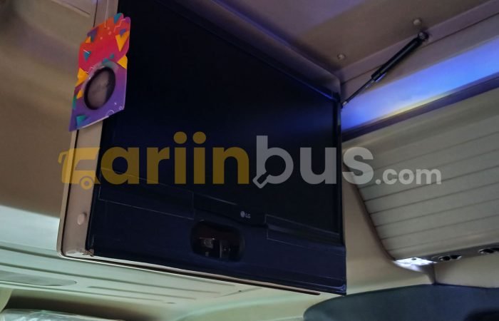 Elf-Long-Orion-Trans