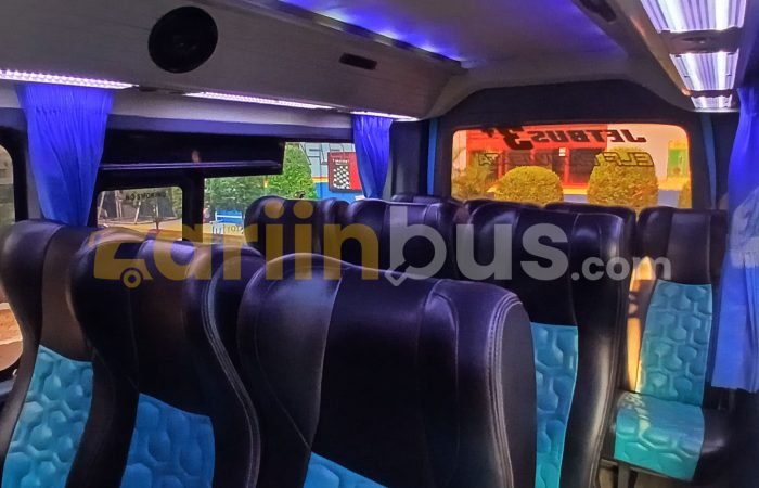 Elf-Long-Orion-Trans11