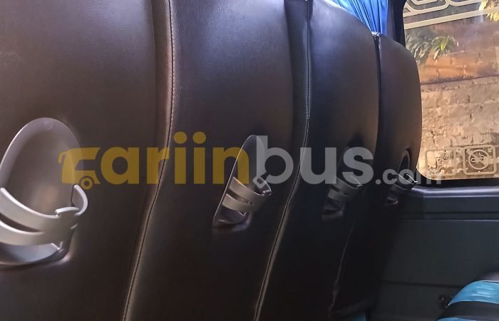 Elf-Long-Orion-Trans12