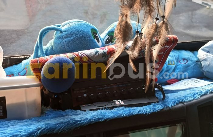 Elf-Long-Orion-Trans15