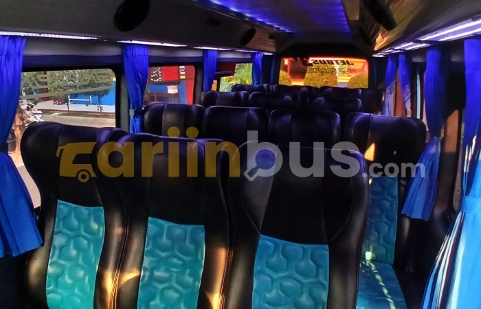 Elf-Long-Orion-Trans3