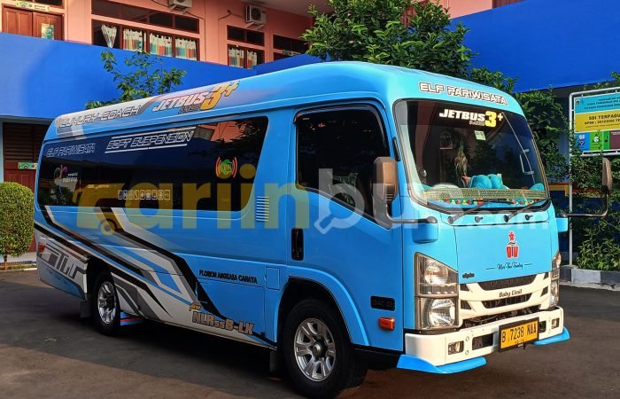 Elf-Long-Orion-Trans8