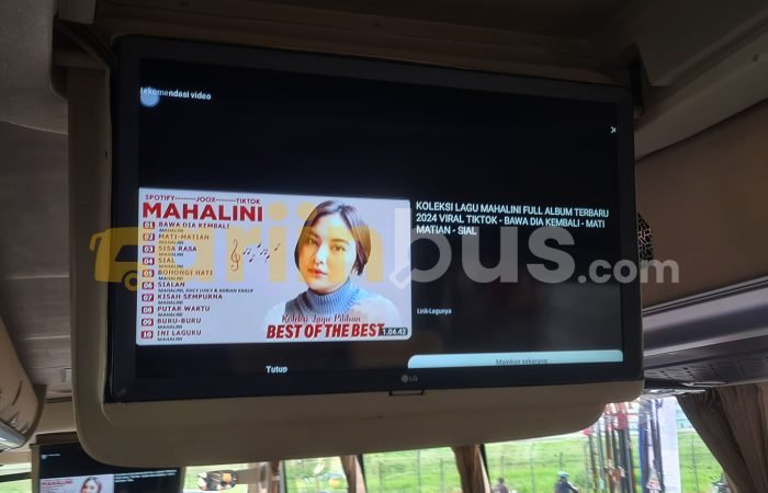 Prestige-C3-Big-Bus-45-Seat-19