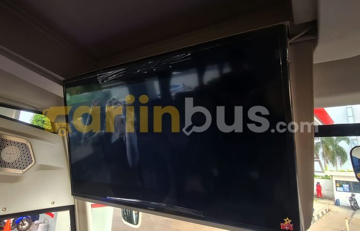 Prestige-C3-Big-Bus-45-Seat-2