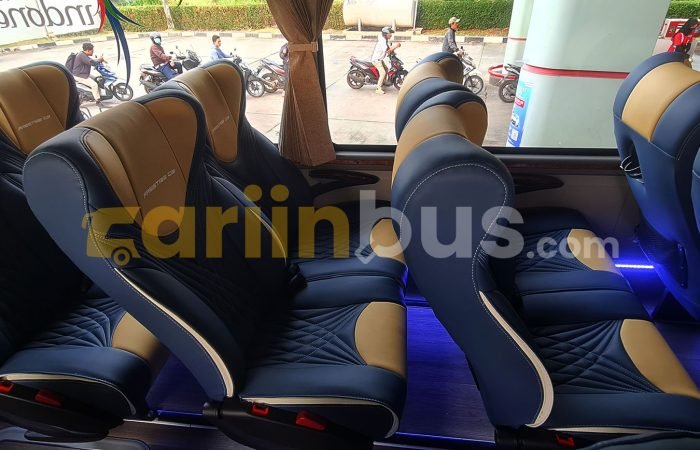 Prestige-C3-Big-Bus-45-Seat-3