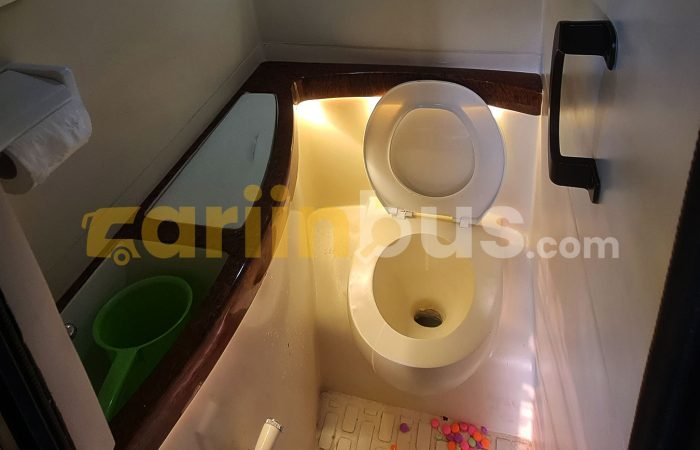 Prestige-C3-Big-Bus-45-Seat-5