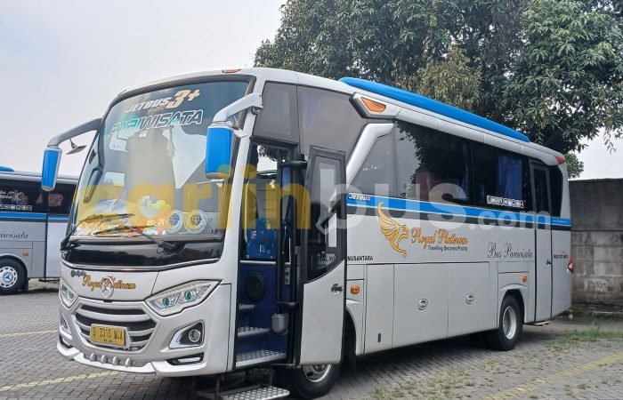 Royal-Platinum-Medium1