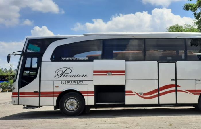 White Horse 47 seat 5