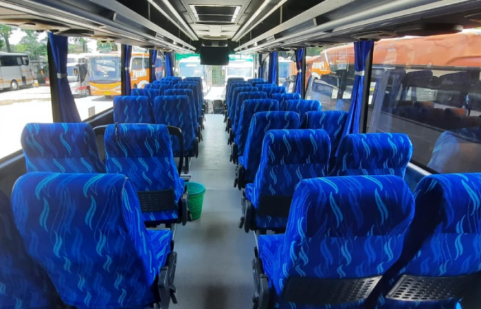 White Horse 47 seat 2