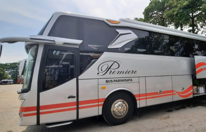 White Horse 47 seat 1