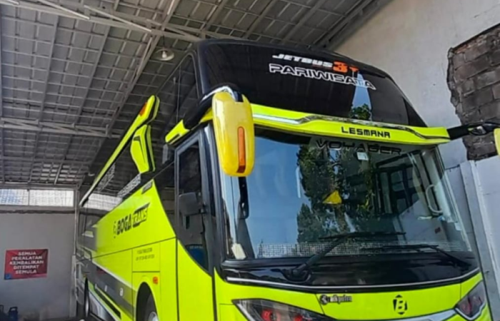 boga trans 59 seeat 3