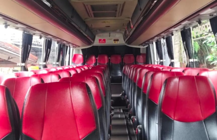 boga trans 59 seeat 4