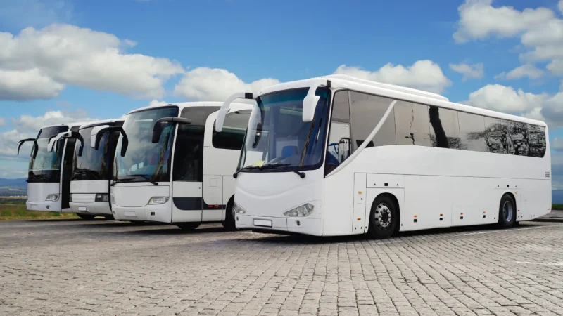 Banner 2 Cariinbus.com