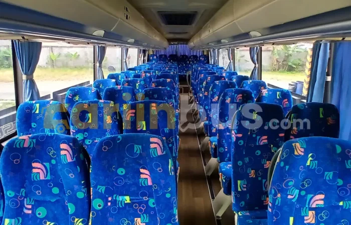 royal_platinum_big_bus3_1x