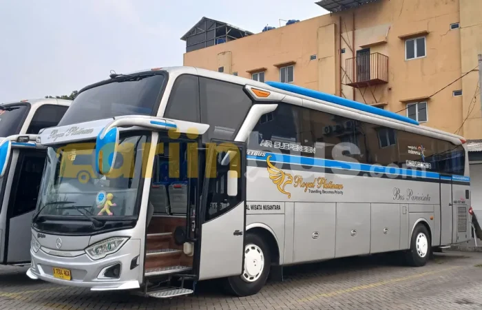 royal_platinum_big_bus5_1x