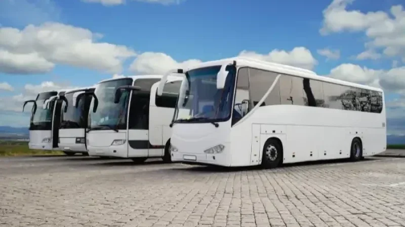 tips memilih bus wisata